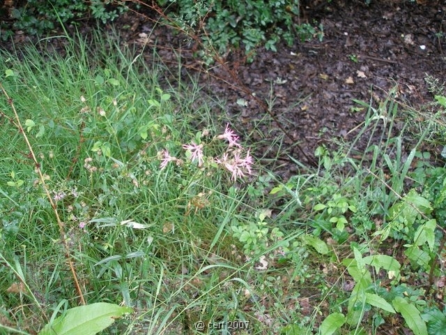 2007 05 Séjour en Brenne 010